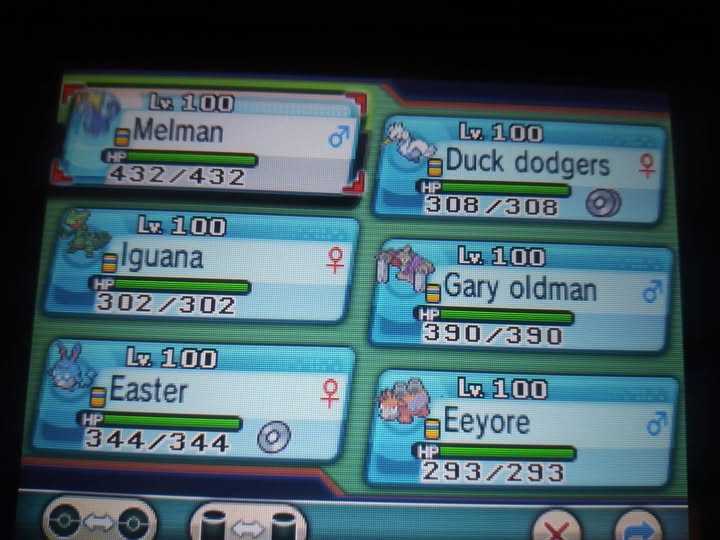pokemon rudy team Blank Meme Template