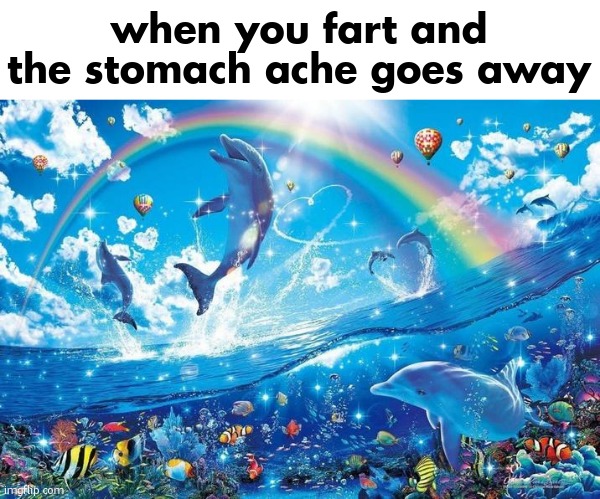 Doctor Fart | when you fart and the stomach ache goes away | image tagged in happy dolphin rainbow,fart,stomach,ache,sfw,memes | made w/ Imgflip meme maker