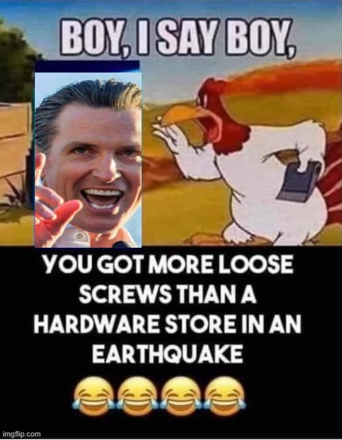 Looney Tunes meet Looney Liberals.... | image tagged in earthquake,looney tunes,gavin | made w/ Imgflip meme maker