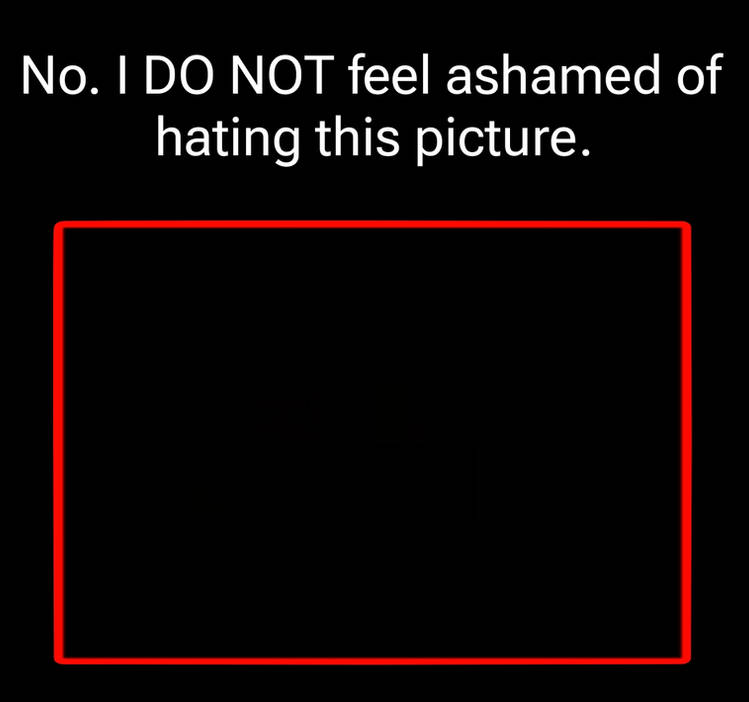 no i do not feel ashmaned of hating this picture Blank Meme Template