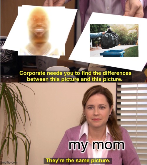 no title | my mom | image tagged in memes,they're the same picture | made w/ Imgflip meme maker