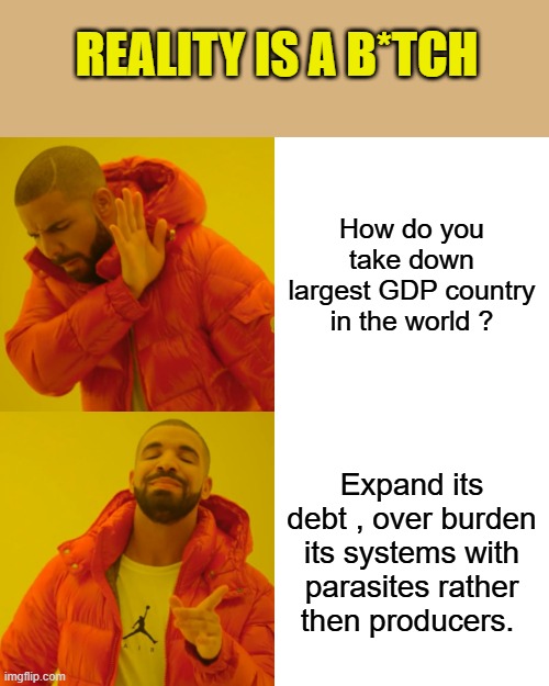 The New world order plan simplfied, blow up the economic engine | REALITY IS A B*TCH; How do you take down largest GDP country in the world ? Expand its debt , over burden its systems with parasites rather then producers. | image tagged in memes,drake hotline bling | made w/ Imgflip meme maker