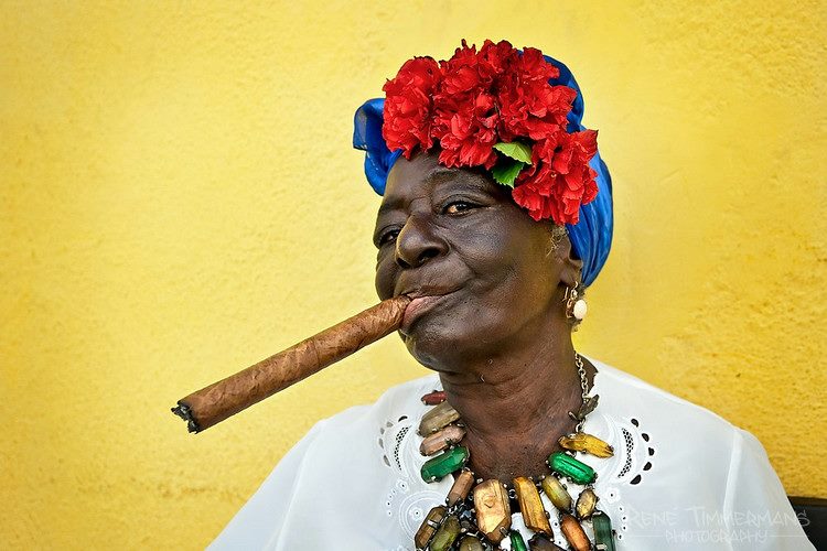 afro Cubano koala Blank Meme Template