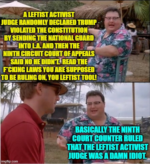 It was masked in 'legal speak' but that's the gist of it. | A LEFTIST ACTIVIST JUDGE RANDOMLY DECLARED TRUMP VIOLATED THE CONSTITUTION BY SENDING THE NATIONAL GUARD INTO L.A. AND THEN THE NINTH CIRCUIT COURT OF APPEALS SAID NO HE DIDN'T.  READ THE F*CKING LAWS YOU ARE SUPPOSED TO BE RULING ON, YOU LEFTIST TOOL! BASICALLY THE NINTH COURT COUNTER RULED THAT THE LEFTIST ACTIVIST JUDGE WAS A DAMN IDIOT. | image tagged in see nobody cares | made w/ Imgflip meme maker