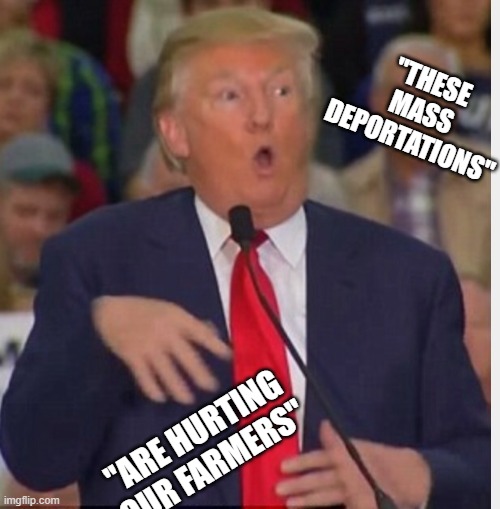 He really just said that.... | "THESE MASS DEPORTATIONS"; "ARE HURTING OUR FARMERS" | image tagged in donald trump tho,tard,idiot | made w/ Imgflip meme maker