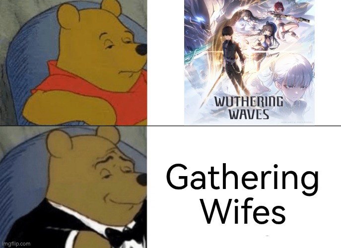 If you see every current playable and soon playable characters and play as male Protagonist, you'll understand. | Gathering Wifes | image tagged in memes,tuxedo winnie the pooh,wuthering waves | made w/ Imgflip meme maker