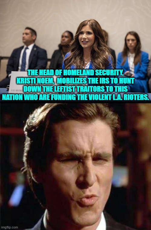 Now that's going to leave a mark on some nation-hating leftist millionaires or billionaires. | THE HEAD OF HOMELAND SECURITY, KRISTI NOEM,  MOBILIZES THE IRS TO HUNT DOWN THE LEFTIST TRAITORS TO THIS NATION WHO ARE FUNDING THE VIOLENT L.A. RIOTERS. | image tagged in yep | made w/ Imgflip meme maker