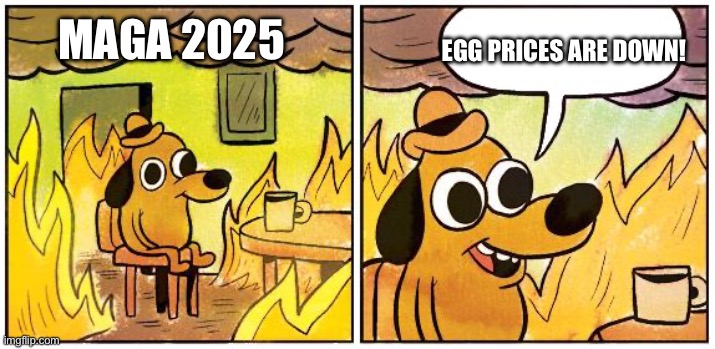 This is Fine (Blank) | EGG PRICES ARE DOWN! MAGA 2025 | image tagged in this is fine blank | made w/ Imgflip meme maker