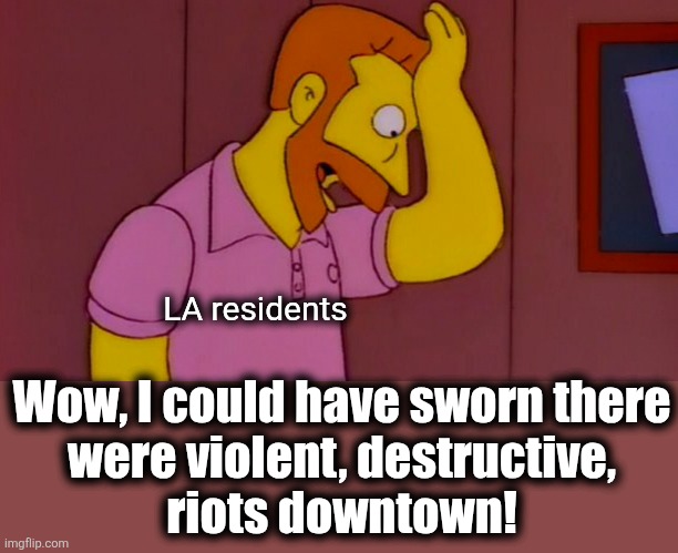 Why didn't I think of that | LA residents Wow, I could have sworn there
were violent, destructive,
riots downtown! | image tagged in why didn't i think of that | made w/ Imgflip meme maker