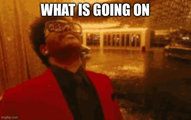 Blinding Lights | WHAT IS GOING ON | image tagged in blinding lights | made w/ Imgflip meme maker