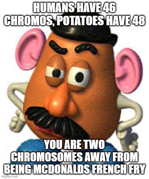 it's scary to think about | HUMANS HAVE 46 CHROMOS, POTATOES HAVE 48; YOU ARE TWO CHROMOSOMES AWAY FROM BEING MCDONALDS FRENCH FRY | image tagged in mr potato head | made w/ Imgflip meme maker