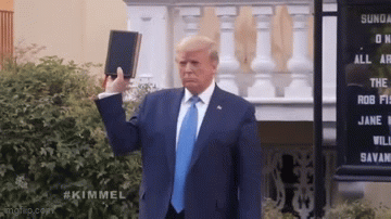 9x8p12.gif
