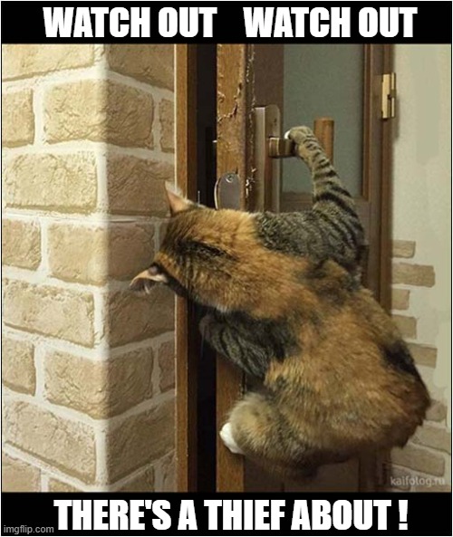 A Cat Buglar Caught In The Act ! | WATCH OUT    WATCH OUT; THERE'S A THIEF ABOUT ! | image tagged in cats,buglar,thief | made w/ Imgflip meme maker