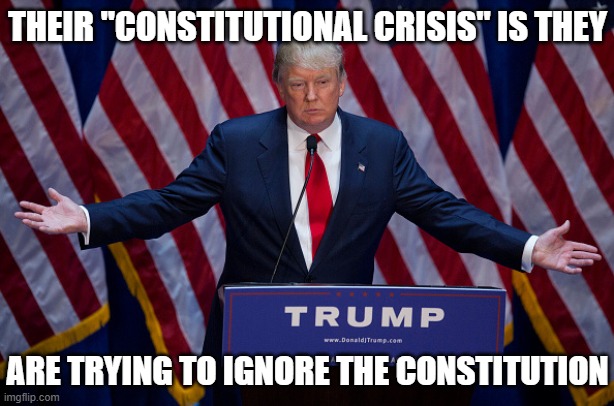 Donald Trump | THEIR "CONSTITUTIONAL CRISIS" IS THEY ARE TRYING TO IGNORE THE CONSTITUTION | image tagged in donald trump | made w/ Imgflip meme maker