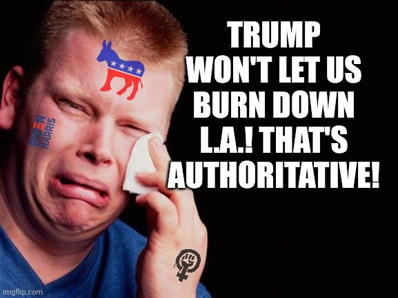 Its a shame when adults tell liberal man-children they can't riot, loot, and burn cars. | TRUMP WON'T LET US BURN DOWN L.A.! THAT'S AUTHORITATIVE! | image tagged in crying democrats,liberal logic,california,liberal hypocrisy,stupid people be like,expectation vs reality | made w/ Imgflip meme maker