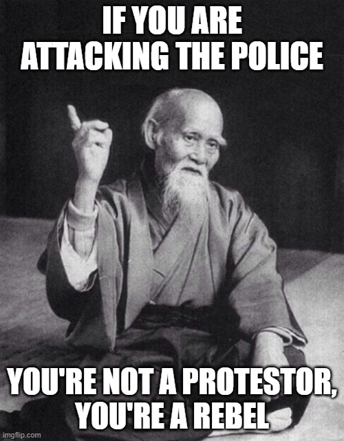 Wise Old Chinese Man | IF YOU ARE ATTACKING THE POLICE; YOU'RE NOT A PROTESTOR,
YOU'RE A REBEL | image tagged in wise old chinese man | made w/ Imgflip meme maker