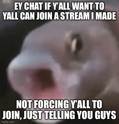 It’s Pillar Chase 2, but Ik yall into forsaken more, but you can join if y’all want to | EY CHAT IF Y’ALL WANT TO YALL CAN JOIN A STREAM I MADE; NOT FORCING Y’ALL TO JOIN, JUST TELLING YOU GUYS | image tagged in poggers fish | made w/ Imgflip meme maker