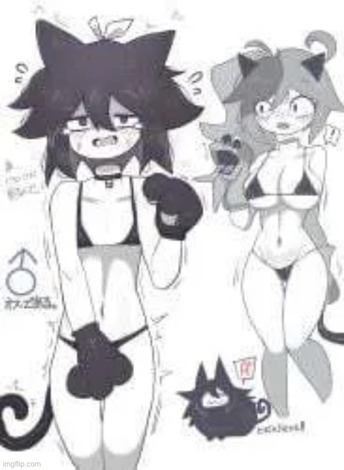 Cat:3 (mod note: gonna feature this for the funsies) | image tagged in fpe | made w/ Imgflip meme maker