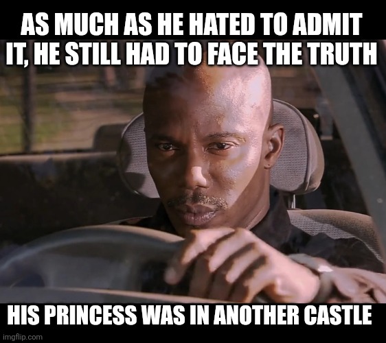 Hard truth | AS MUCH AS HE HATED TO ADMIT IT, HE STILL HAD TO FACE THE TRUTH; HIS PRINCESS WAS IN ANOTHER CASTLE | image tagged in doakes | made w/ Imgflip meme maker