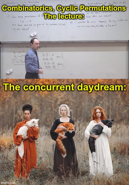 Lecture | Combinatorics, Cyclic Permutations

The lecture:; The concurrent daydream: | image tagged in math | made w/ Imgflip meme maker