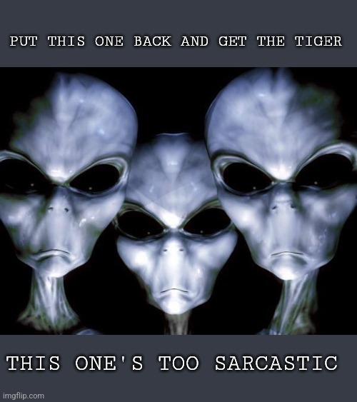 grey aliens | PUT THIS ONE BACK AND GET THE TIGER THIS ONE'S TOO SARCASTIC | image tagged in grey aliens | made w/ Imgflip meme maker