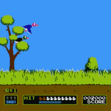 duck hunt animated Blank Meme Template