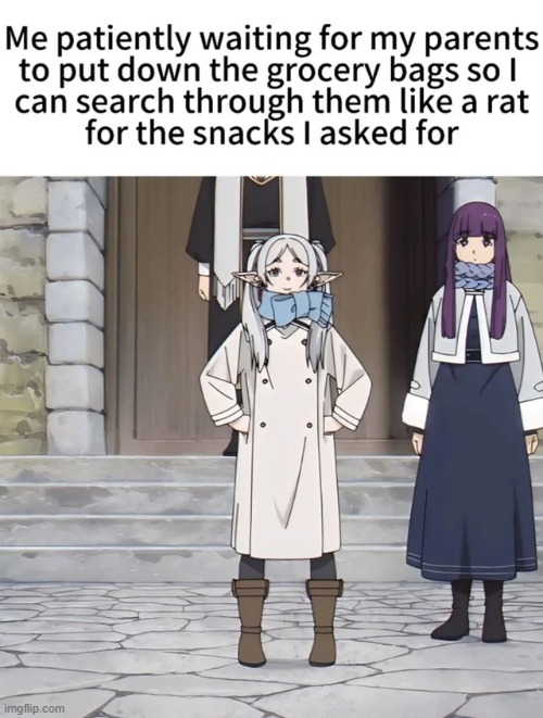 We all do that,right? | image tagged in frieren,elf | made w/ Imgflip meme maker