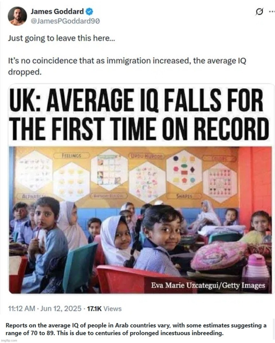 You Have to Question the IQ of People Supporting Hamas and Any Other Arab Country | image tagged in stupid people be like,low iq,iq,muslims,arabs,inbreeding | made w/ Imgflip meme maker