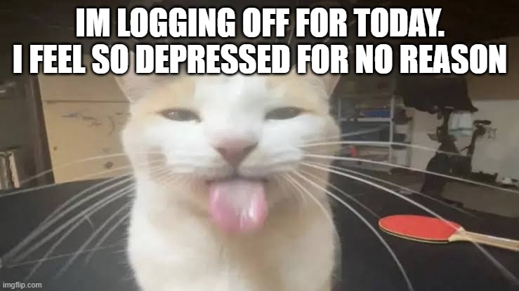 Milly the silly cat Bleh Cat | IM LOGGING OFF FOR TODAY. I FEEL SO DEPRESSED FOR NO REASON | image tagged in milly the silly cat bleh cat,sans of topic | made w/ Imgflip meme maker