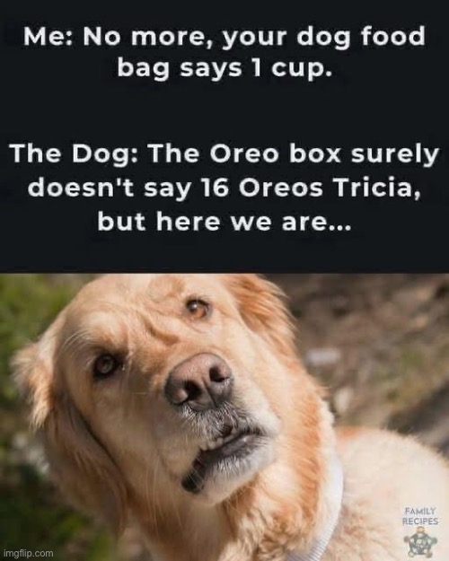 This is my home life | image tagged in memes,oreo | made w/ Imgflip meme maker