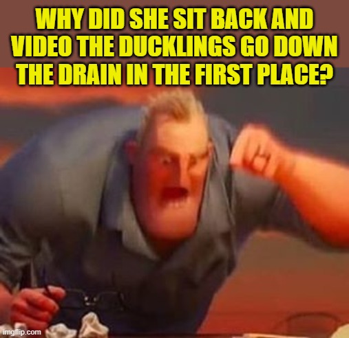 Mr incredible mad | WHY DID SHE SIT BACK AND VIDEO THE DUCKLINGS GO DOWN THE DRAIN IN THE FIRST PLACE? | image tagged in mr incredible mad | made w/ Imgflip meme maker
