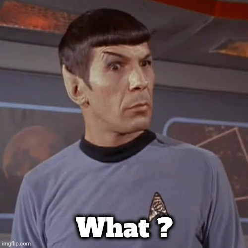 Puzzled Spock | What ? | image tagged in puzzled spock | made w/ Imgflip meme maker