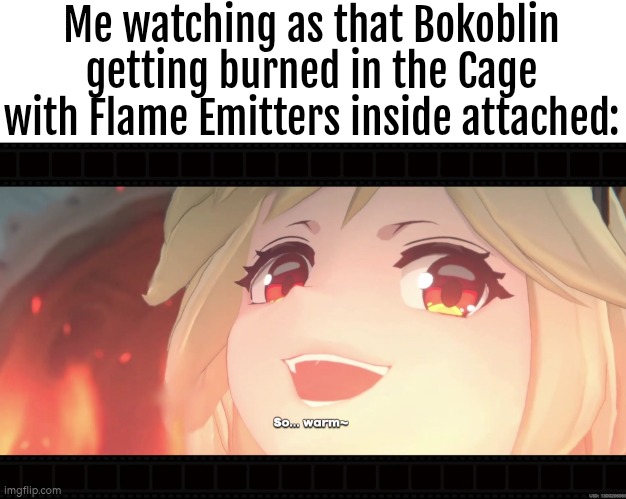 *Evil Psychopath Laughter* | Me watching as that Bokoblin getting burned in the Cage with Flame Emitters inside attached: | image tagged in zelda tears of the kingdom,funny,burn | made w/ Imgflip meme maker