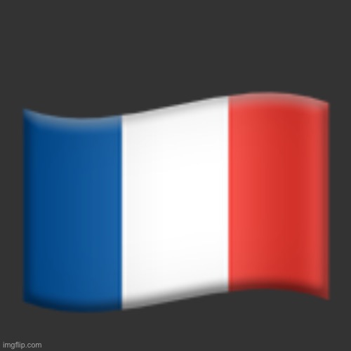 🇫🇷 | made w/ Imgflip meme maker
