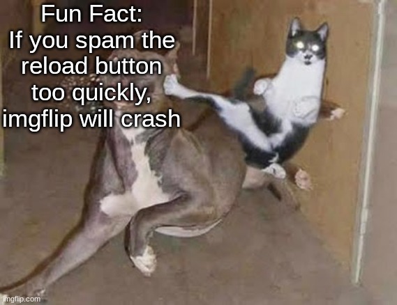 Just for you tho | Fun Fact: If you spam the reload button too quickly, imgflip will crash | image tagged in get rekt announcement version | made w/ Imgflip meme maker