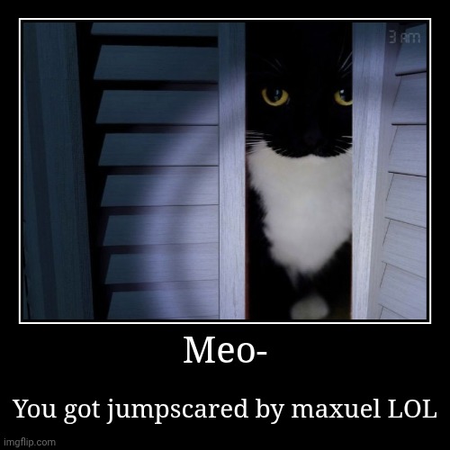Wait, what is this on my closet? | Meo- | You got jumpscared by maxuel LOL | image tagged in funny,demotivationals,cats | made w/ Imgflip demotivational maker