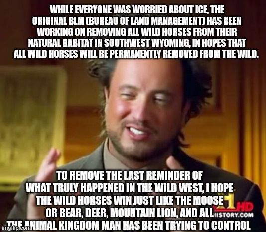 Ancient Aliens Meme | WHILE EVERYONE WAS WORRIED ABOUT ICE, THE ORIGINAL BLM (BUREAU OF LAND MANAGEMENT) HAS BEEN WORKING ON REMOVING ALL WILD HORSES FROM THEIR NATURAL HABITAT IN SOUTHWEST WYOMING, IN HOPES THAT ALL WILD HORSES WILL BE PERMANENTLY REMOVED FROM THE WILD. TO REMOVE THE LAST REMINDER OF WHAT TRULY HAPPENED IN THE WILD WEST, I HOPE THE WILD HORSES WIN JUST LIKE THE MOOSE OR BEAR, DEER, MOUNTAIN LION, AND ALL THE ANIMAL KINGDOM MAN HAS BEEN TRYING TO CONTROL | image tagged in memes,ancient aliens | made w/ Imgflip meme maker