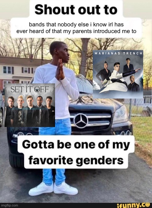 gotta be one of my favorite genders | bands that nobody else i know irl has ever heard of that my parents introduced me to | image tagged in gotta be one of my favorite genders | made w/ Imgflip meme maker
