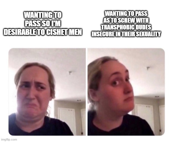 The real reason transwomen wanna pass | WANTING TO PASS AS TO SCREW WITH TRANSPHOBIC DUDES INSECURE IN THEIR SEXUALITY; WANTING TO PASS SO I'M DESIRABLE TO CISHET MEN | image tagged in no yes lady | made w/ Imgflip meme maker