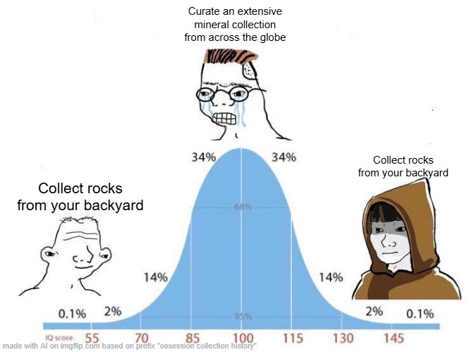 Bell Curve | Curate an extensive mineral collection from across the globe; Collect rocks from your backyard; Collect rocks from your backyard | image tagged in bell curve | made w/ Imgflip meme maker