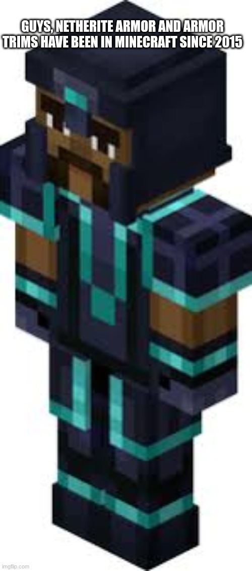 ? | GUYS, NETHERITE ARMOR AND ARMOR TRIMS HAVE BEEN IN MINECRAFT SINCE 2015 | image tagged in minecraft,minecraft story mode,gabriel,netherite | made w/ Imgflip meme maker