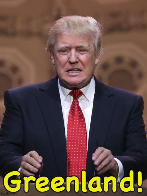 Donald Trump | Greenland! | image tagged in donald trump | made w/ Imgflip meme maker