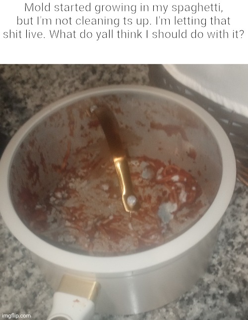 Mold in the pot | Mold started growing in my spaghetti, but I'm not cleaning ts up. I'm letting that shit live. What do yall think I should do with it? | image tagged in mold,images,pot | made w/ Imgflip meme maker