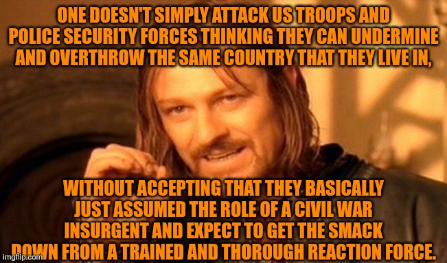 Funny | ONE DOESN'T SIMPLY ATTACK US TROOPS AND POLICE SECURITY FORCES THINKING THEY CAN UNDERMINE AND OVERTHROW THE SAME COUNTRY THAT THEY LIVE IN, WITHOUT ACCEPTING THAT THEY BASICALLY JUST ASSUMED THE ROLE OF A CIVIL WAR INSURGENT AND EXPECT TO GET THE SMACK DOWN FROM A TRAINED AND THOROUGH REACTION FORCE. | image tagged in memes,one does not simply,american politics,riots,illegal aliens,civil war | made w/ Imgflip meme maker