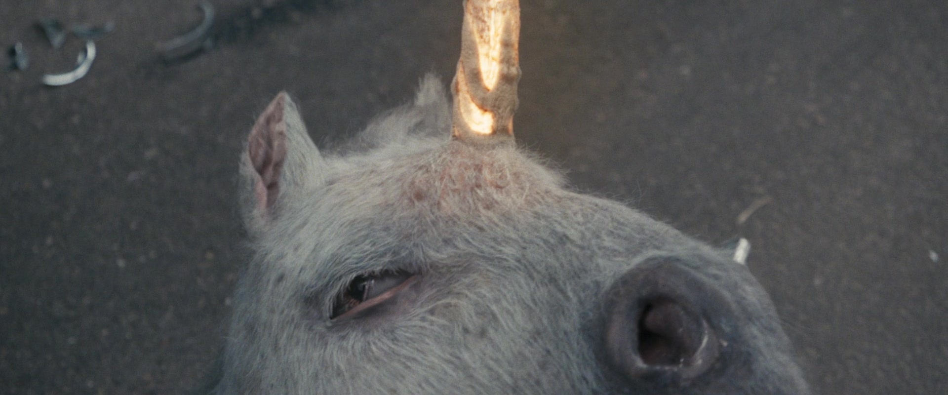 Unicorn Blank Meme Template