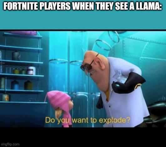 Real | FORTNITE PLAYERS WHEN THEY SEE A LLAMA: | image tagged in do you want to explode,fortnite,memes,funny | made w/ Imgflip meme maker