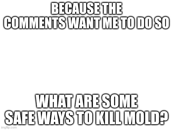 I need answers | BECAUSE THE COMMENTS WANT ME TO DO SO; WHAT ARE SOME SAFE WAYS TO KILL MOLD? | image tagged in images | made w/ Imgflip meme maker