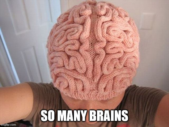 SO MANY BRAINS | made w/ Imgflip meme maker