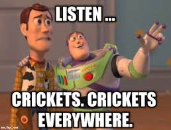 Crickets | image tagged in repost | made w/ Imgflip meme maker