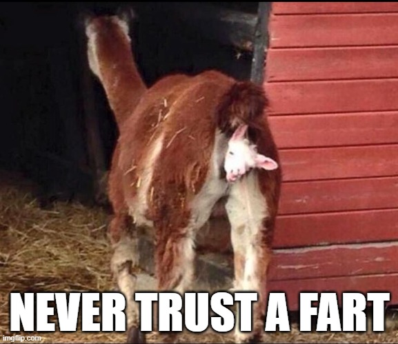 Never Trust... | NEVER TRUST A FART | image tagged in dark humor | made w/ Imgflip meme maker
